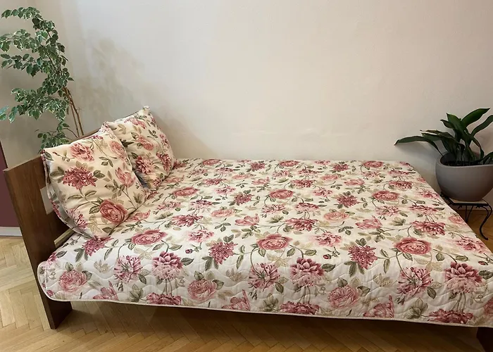 Apartament Jana *